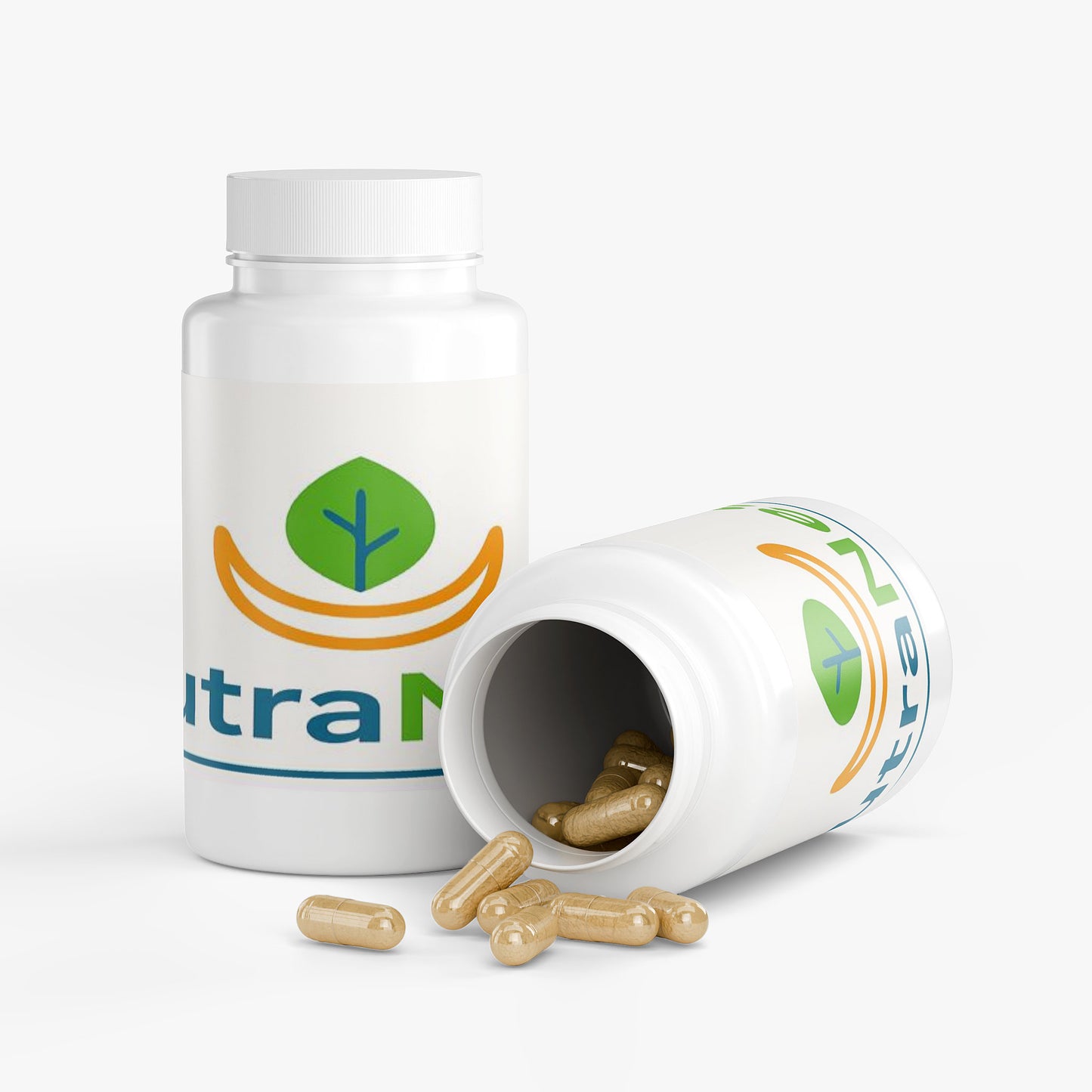 Ayurvedic Complex