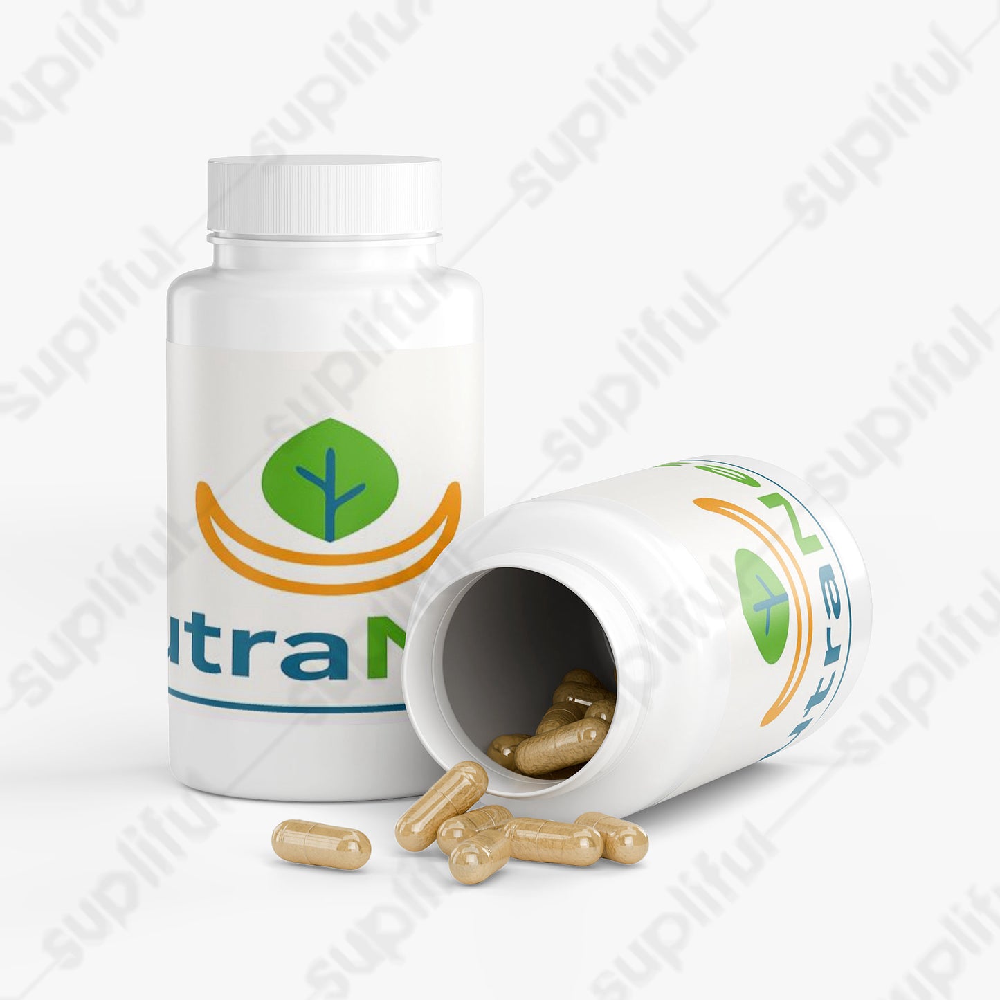 Ayurvedic Complex